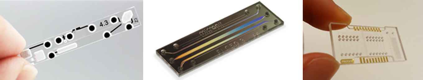 Picture Single Cell on a Chip
